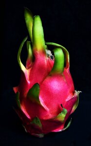 Asia still life pink
