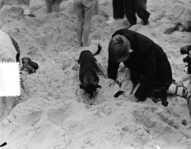 Schatgraven in Egmond aan Zee, Bestanddeelnr 904-7359
