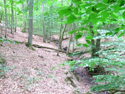 Schiefertalbach im Kerbtal
