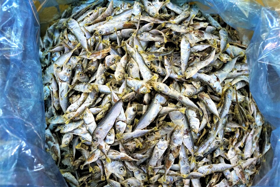 Seafood healthy background