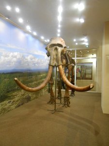 Smolensk Historical Museum - 0041