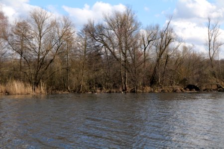 Schwimmhafenwiesen 2020-03-05 14