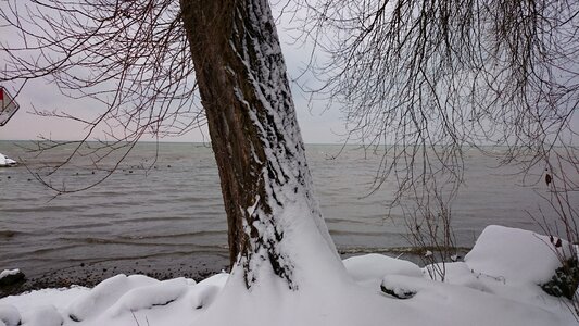 December lake bodensee