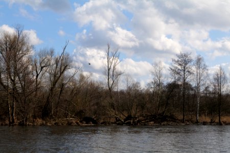 Schwimmhafenwiesen 2020-03-05 06