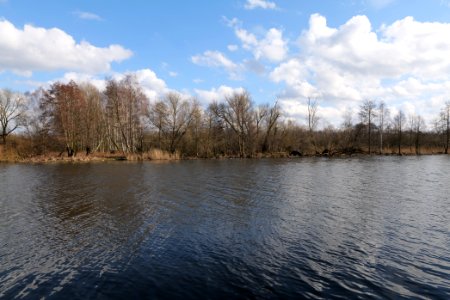 Schwimmhafenwiesen 2020-03-05 11