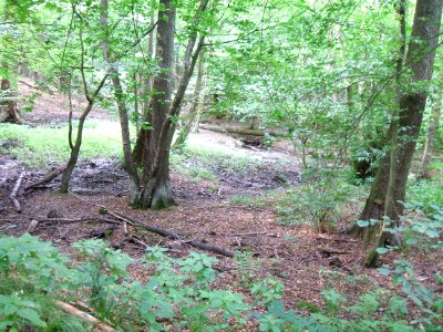 Schiefertalbach 90°-Kurve