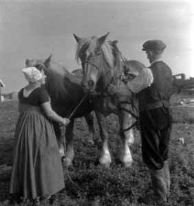Serie Walcheren boer in Noordoostpolder Markenesse, Bestanddeelnr 903-6408