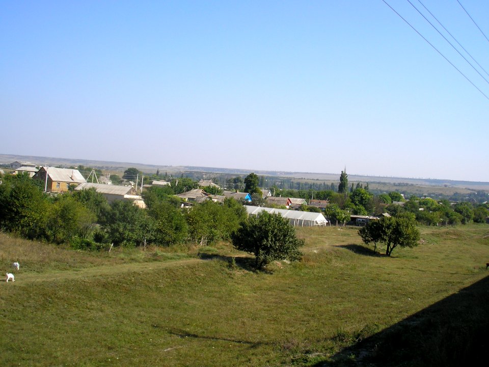 Sfvohvalovo2