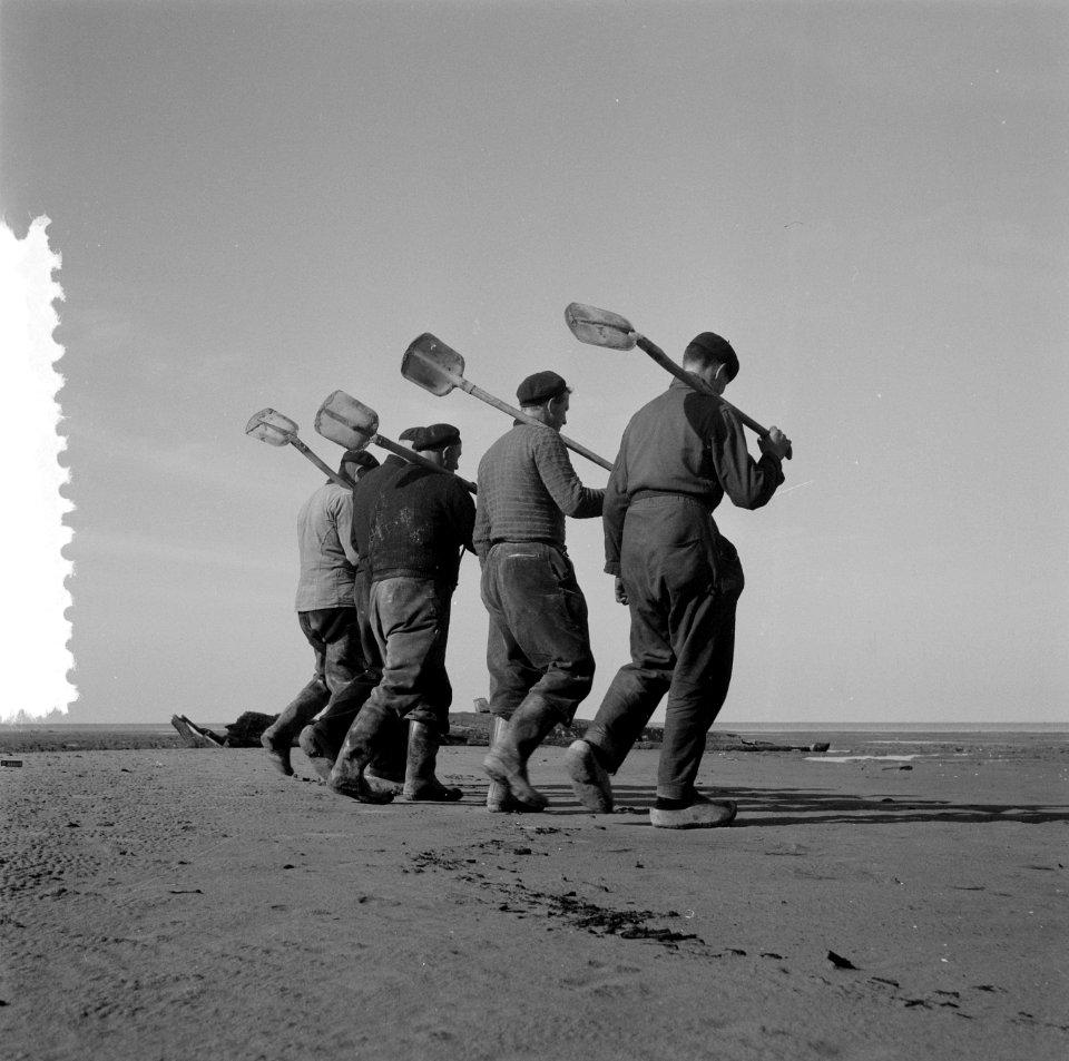 Serie droogvallende Oosterpolder, Bestanddeelnr 908-3794