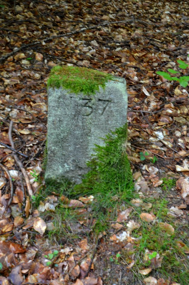 Seulberger Mark, Grenzstein HH K 37, HH SR P 35, Petterweiler Seite