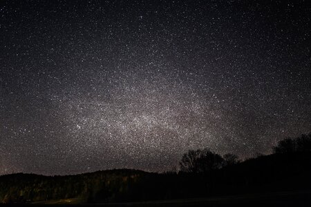 Galaxies trees plant photo