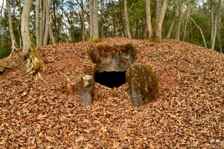 Sada Kita Kofun, funkyu-1