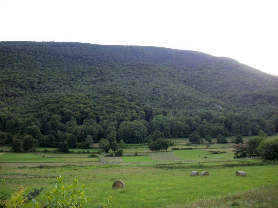Sacoué 09
