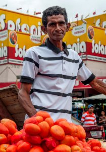 Sad tomato seller