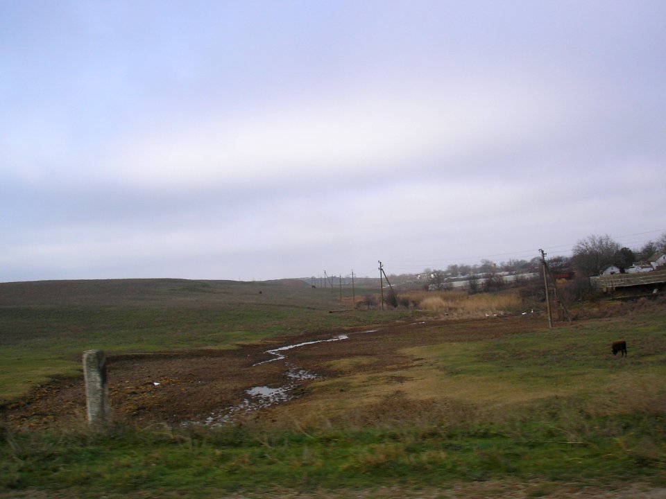 ShelkovichnoeSak 4