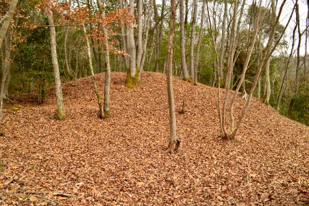 Sada Kita Kofun, funkyu-3