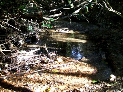 Seebach Leihgraben oberhalb Betrieb Rosbacher Straße Bachbett