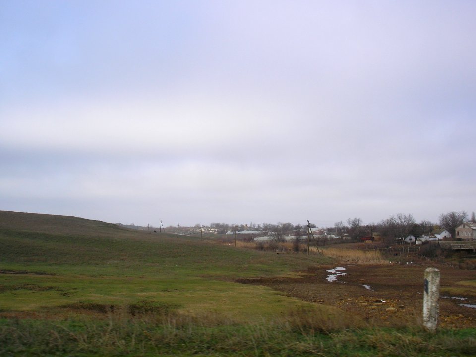ShelkovichnoeSak 6