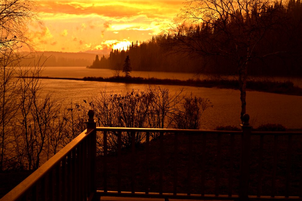 Evening landscape trees