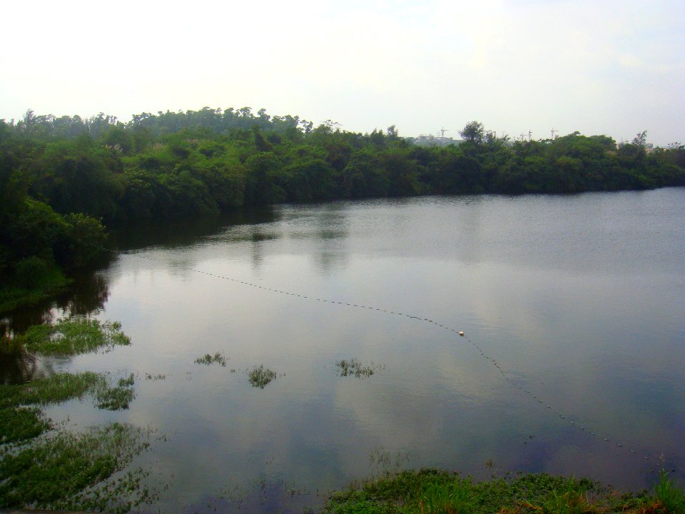 Shapo Reservoir 2017 12 01 - 3