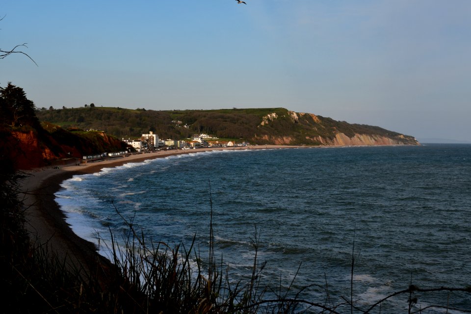 Seaton (2021-04-24) 47