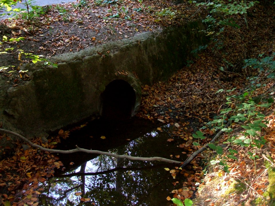 Seebach Leihgraben Durchlass Usinger Straße aus