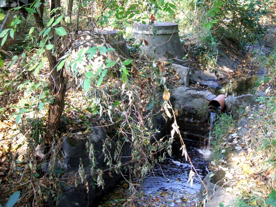 Seebach Leihgraben Ablauf Becken unter Auslass A 5