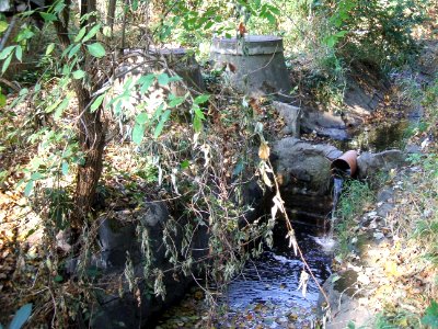 Seebach Leihgraben Ablauf Becken unter Auslass A 5