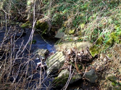 Seebach Leihgraben Bachgasse 68, 2