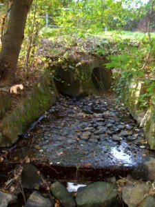 Seebach Leihgraben Auslass Hardbäumchesweg Usinger