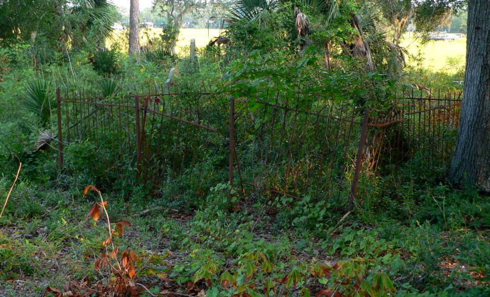 Remley Point cemetery fence
