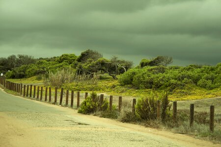 Storm in the dunes photo