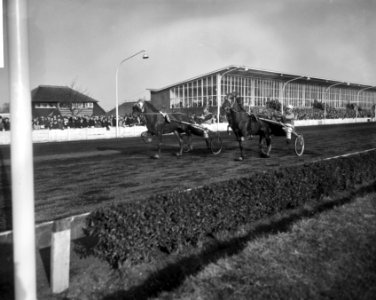 Renbanen, paardensport, draf- en rensport, Utrecht, Bestanddeelnr 918-4461