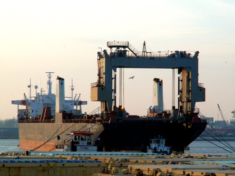 Rhine Forest-1 Port of Rotterdam 24-Feb-2006