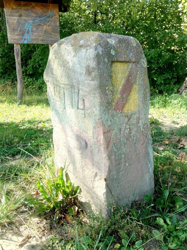 Rheingrenzvermessung, Rheinmarke auf Transversallinie Kirchtürme Au am Rhein - Mothern (2)