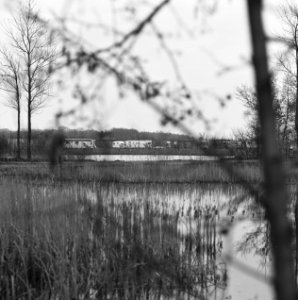 Recreatiecomplexen, plassen, wielen de kleine, ster groene, Bestanddeelnr 167-0461