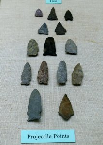 Projectile points - Plymouth Area Artifacts (W. W. Whiting Collection) - Robbins Museum - Middleborough, Massachusetts - DSC03871
