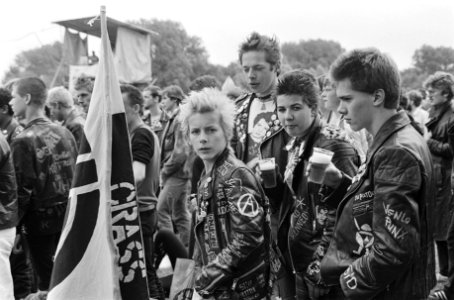 Punkers in het Zuiderpark in Den Haag tijdens Parkpop, Bestanddeelnr 931-5795