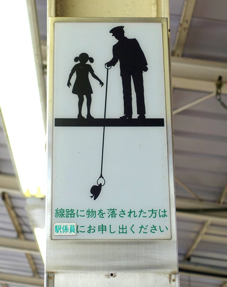 Retrieving the hat - Tokyo, Japan - DSC01848