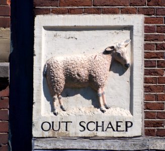 Prinsengracht No 175, Out Schaep photo