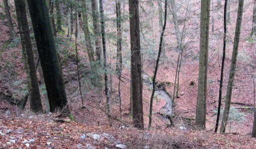 Reutebachschlucht am NW-Knick