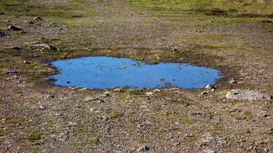 Puddle in Loddebo photo