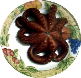 Pulpo rojo sancochado