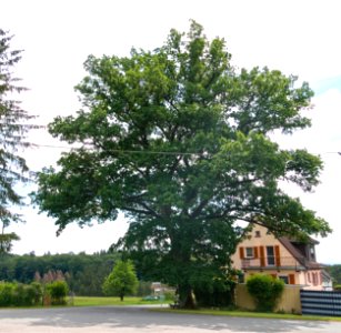 Puderbach-Strunkeich