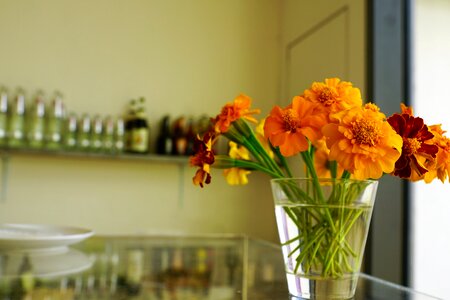 Drink alcohol benefit from
