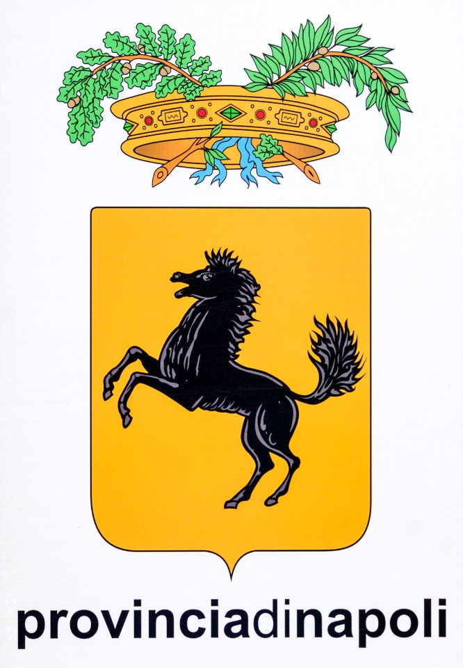 Provinciadinapoli CoA