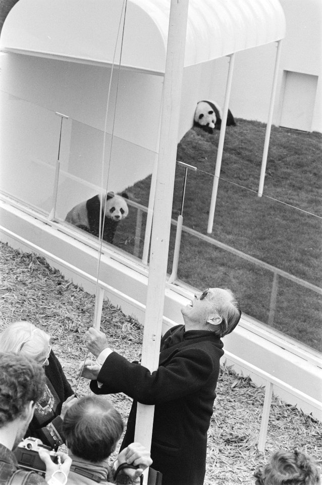 Prins Bernhard stelt onderkomen reuzen-pandas in gebruik door hijsen WNF-vlag, Bestanddeelnr 933-9896