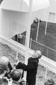 Prins Bernhard stelt onderkomen reuzen-pandas in gebruik door hijsen WNF-vlag, Bestanddeelnr 933-9896