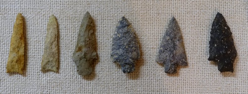 Projectile points - Bielski-Bent collection, found in southeastern Massachusetts - Robbins Museum - Middleborough, Massachusetts - DSC03736