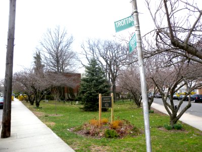 Remsen Cem south jeh